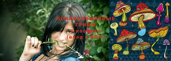 бутират Алзамай