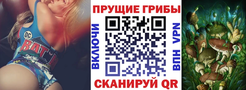 Галлюциногенные грибы Cubensis Урай